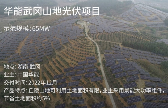 華能武岡山地光伏項目